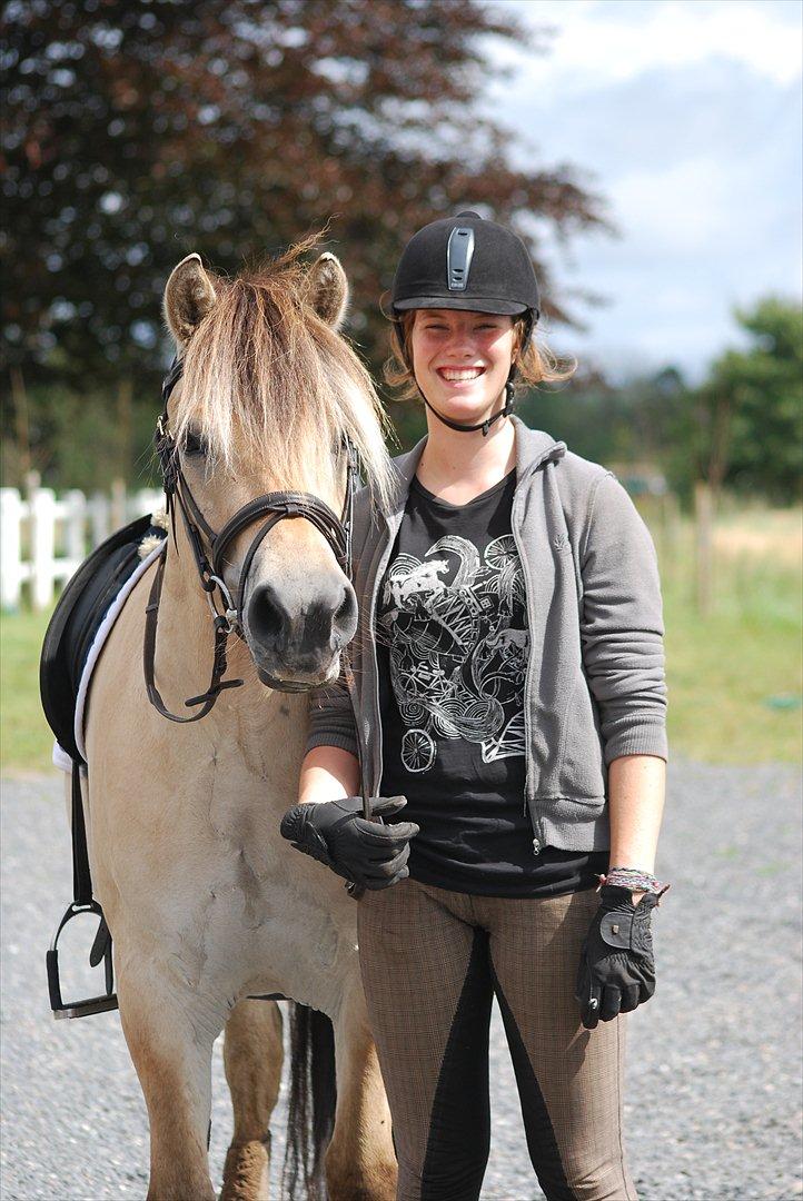 Fjordhest Dyrendals Dusty *Solgt* - D. 09.08.11 billede 8