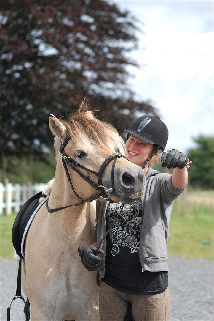 Fjordhest Dyrendals Dusty *Solgt* - D. 09.08.11 billede 16