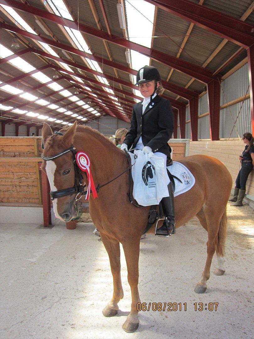 DSP Lindholms´Gutchi - Har vundet LB1 i Taps rideklub, august 2011. billede 9