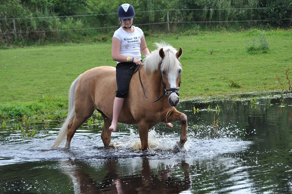 Anden særlig race Pablo - <3 billede 5