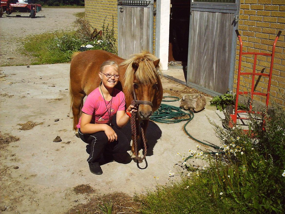 Shetlænder vestbjergs tulle - mig og min dejlige tulle billede 8