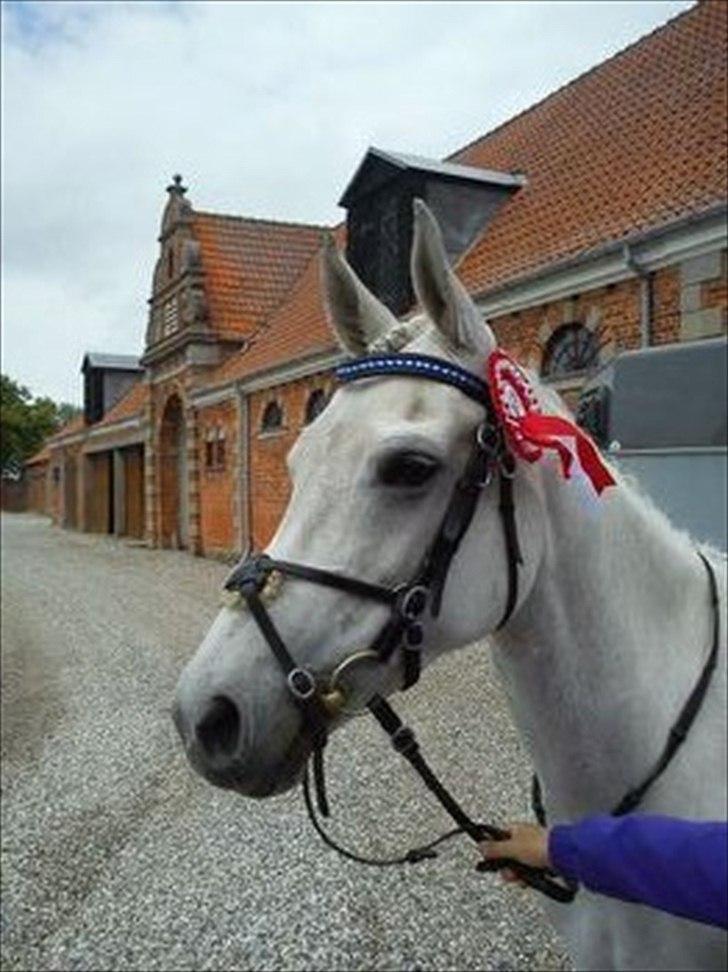 Anden særlig race Con Amor - Netop hjemvendt fra vores første LB** :) billede 1