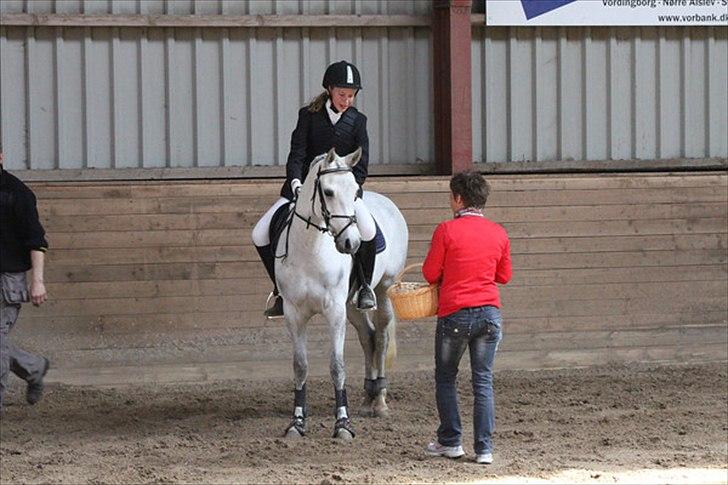 Anden særlig race Con Amor - Præmieoverrækkelsen i NFRK
Nummer 3 :) billede 3