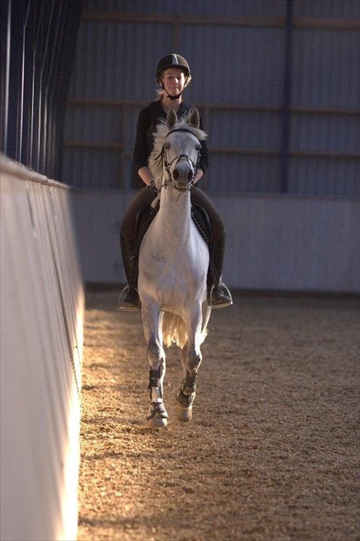 Anden særlig race Con Amor - Conne så lige en farlig fotograf i hjørnet :D billede 5