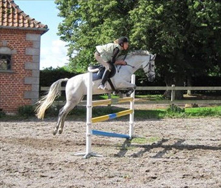 Anden særlig race Con Amor - Conne og jeg 115 :) billede 7