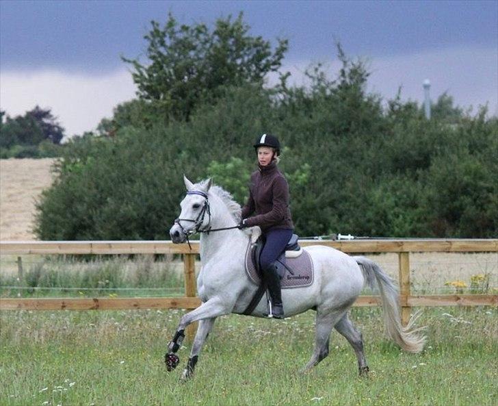 Anden særlig race Con Amor - Når Conne giver den gas på springbanen :) billede 9