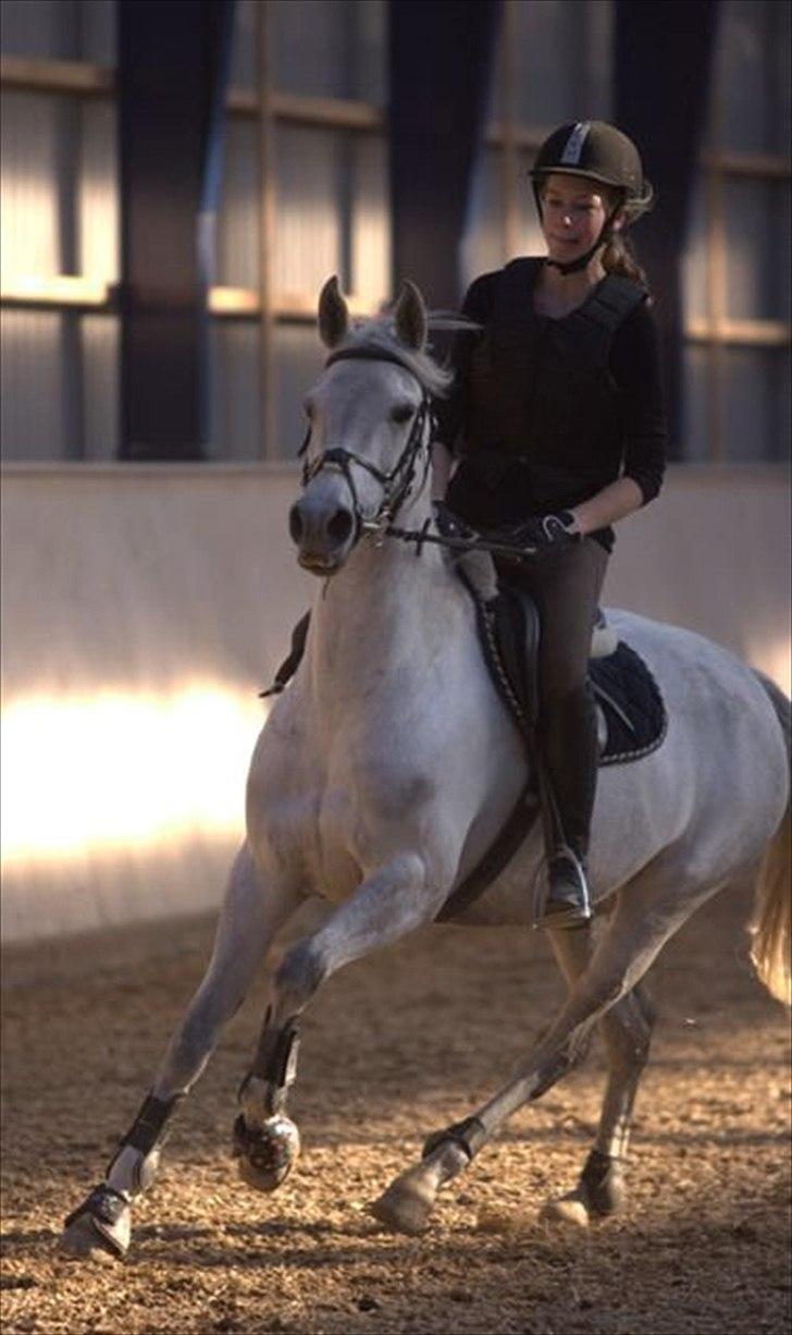 Anden særlig race Con Amor - Kursus :)
 billede 11