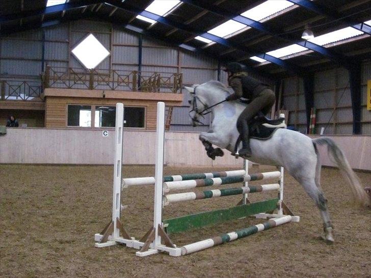 Anden særlig race Con Amor - TIl et af kursuserne :) billede 13