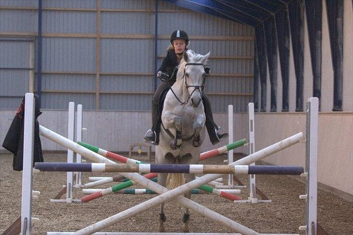 Anden særlig race Con Amor - Et af vores mange kursuser :)
 billede 17