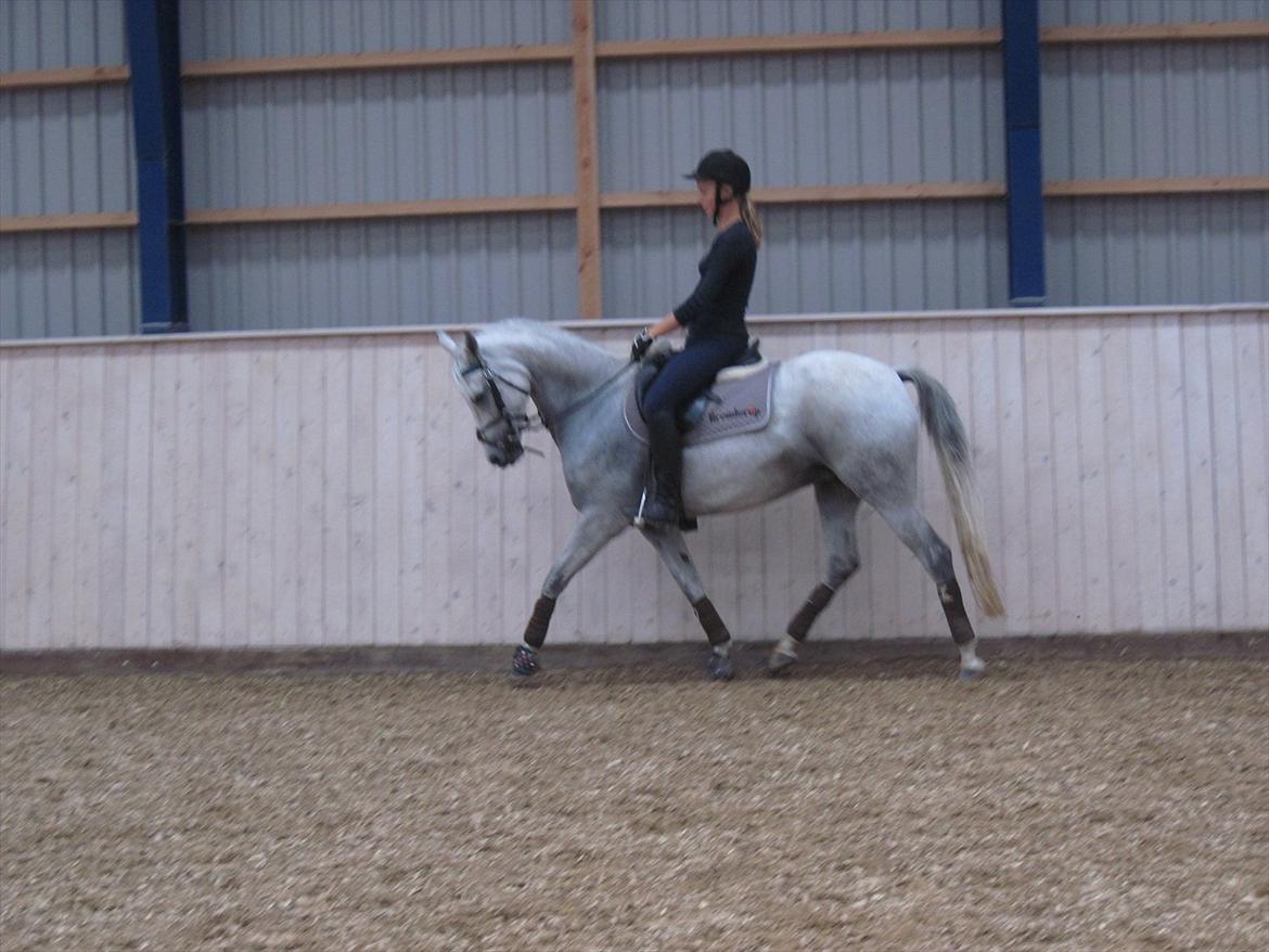 Anden særlig race Con Amor billede 4