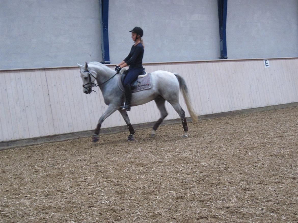 Anden særlig race Con Amor billede 10