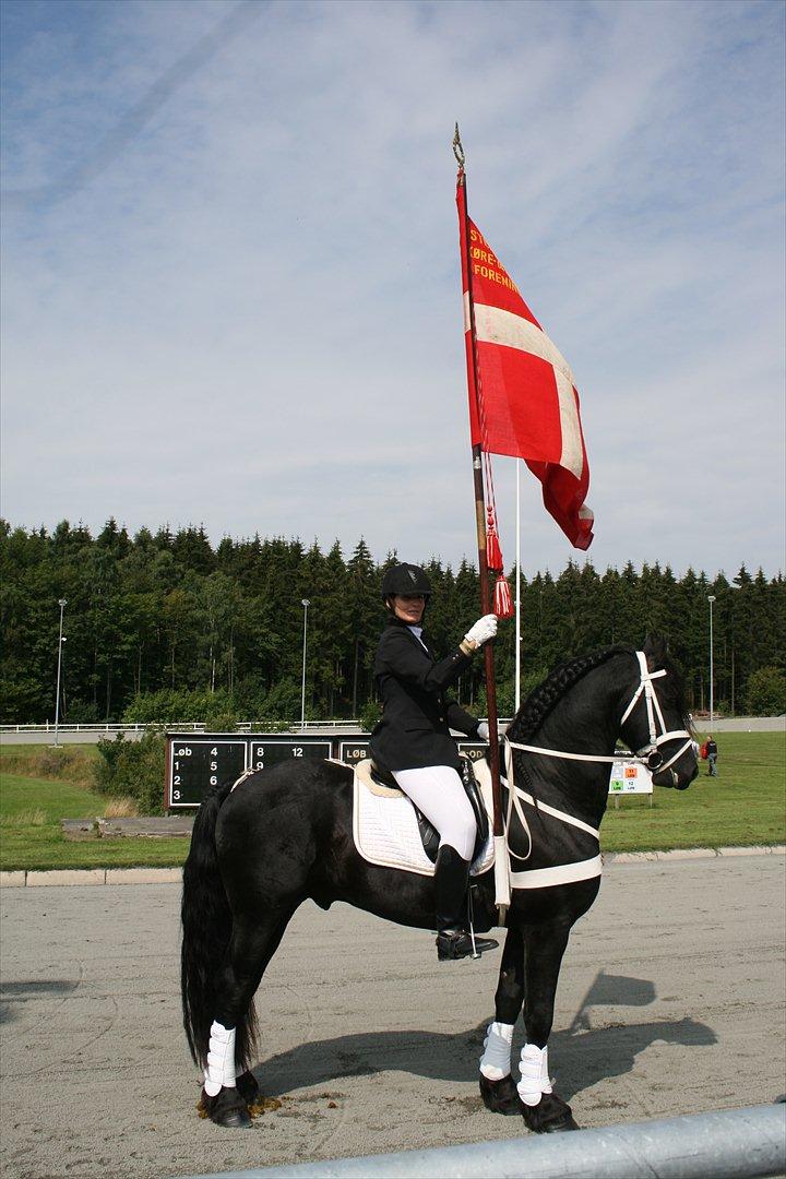 Frieser Zeus Fan Stennissegaard *SOLGT* billede 2