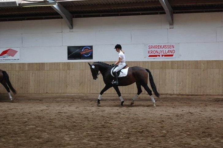 Oldenborg Bella Tisted - brugsprøve, 2009 billede 15