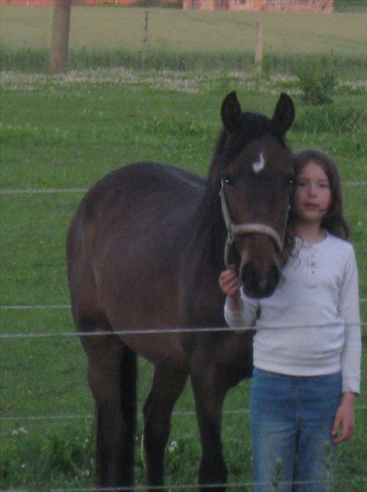 Tysk Sportspony Candy - mig og candy billede 15