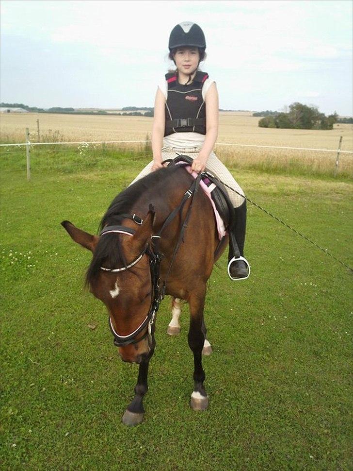 Tysk Sportspony Candy - mig og candy billede 17