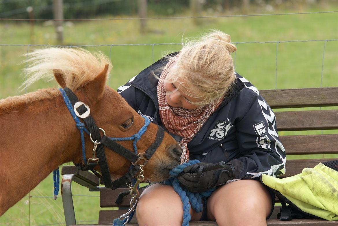 Anden særlig race Tarzan - © Foto-Moef billede 8