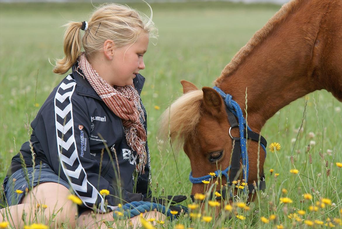 Anden særlig race Tarzan - © Foto-Moef billede 2