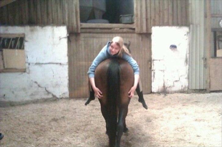 Trakehner Pari Poll <3SOLGT&SAVNET!!<3 billede 8