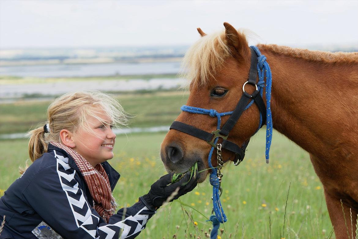 Anden særlig race Tarzan - © Foto-Moef billede 5