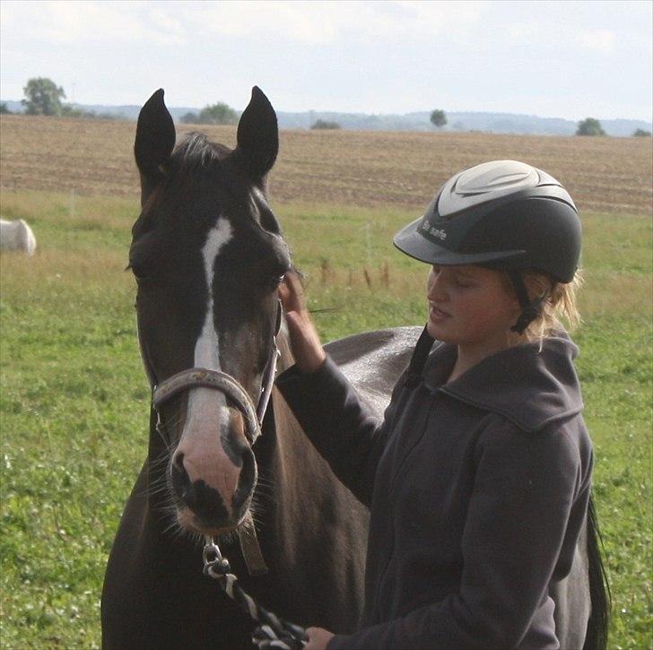 Anden særlig race MISS JOKER BLAZE † R.I.P † - Jeg tror, jeg drømmer så lukker øjne - men åbner jeg dem igen ser jeg stadig dig, du ER min <3 Elsker dig mullepigen <3  billede 2