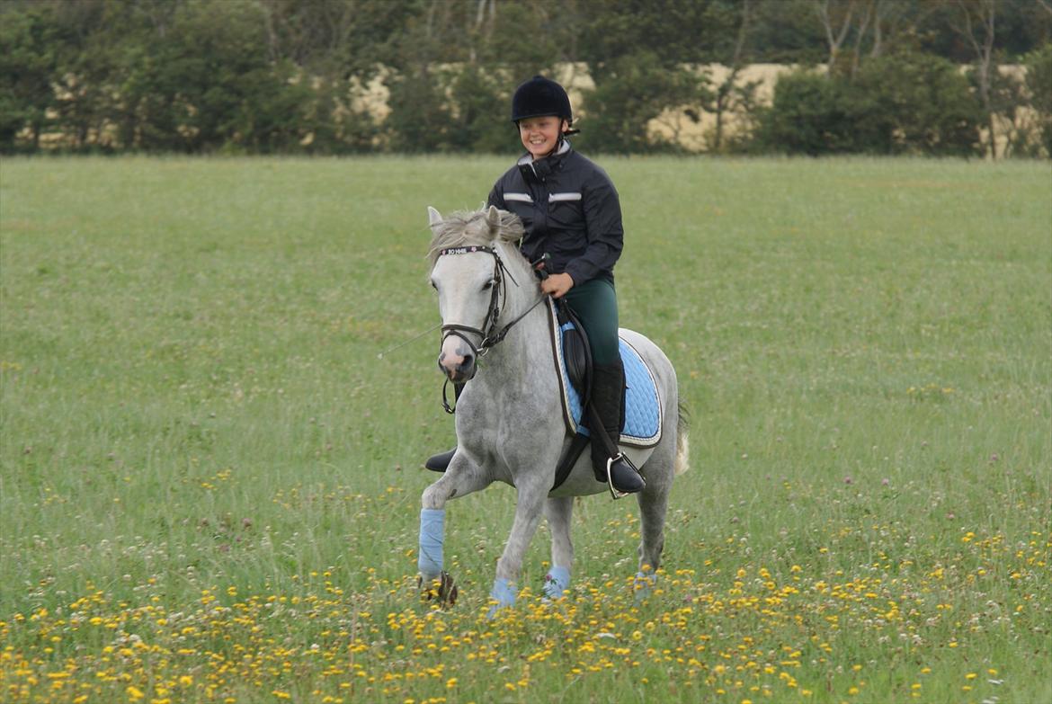 Anden særlig race Bonnie - © Foto-Moef billede 6