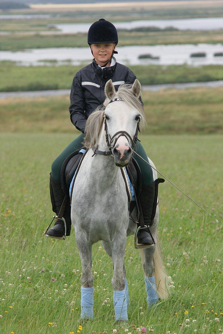 Anden særlig race Bonnie - © Foto-Moef billede 8