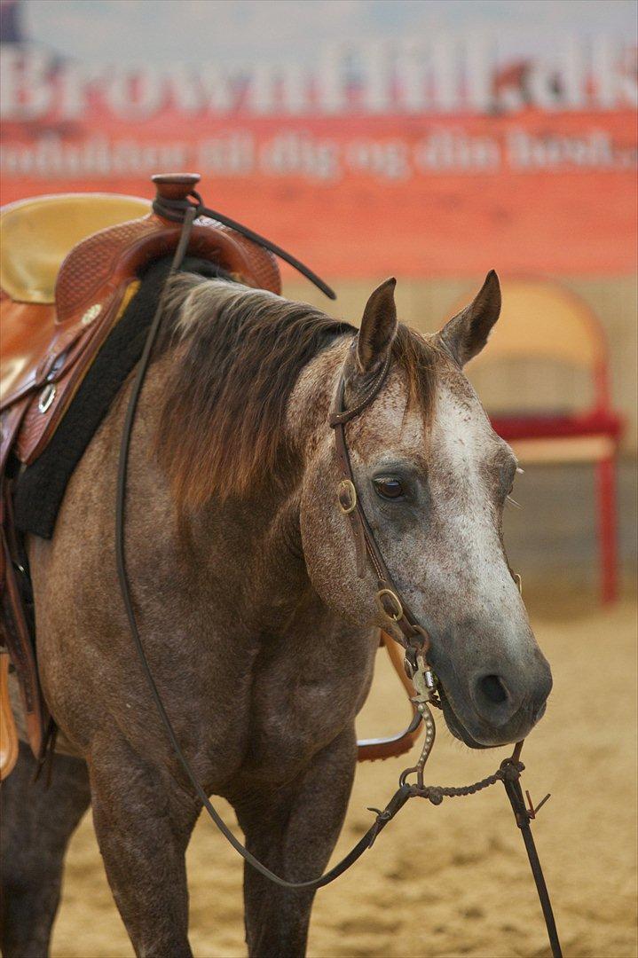 Quarter RT Smart Peppy Time billede 3