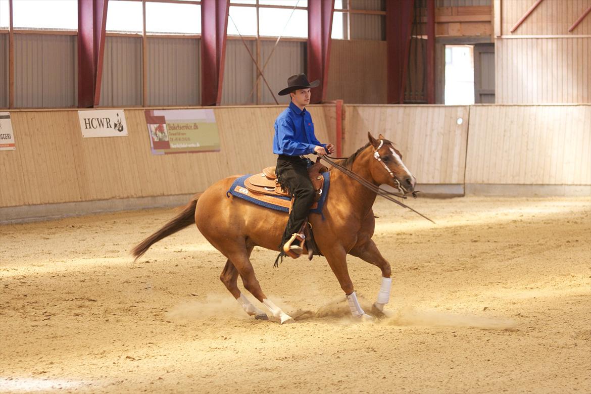 Quarter Oaki Docy Dime billede 10