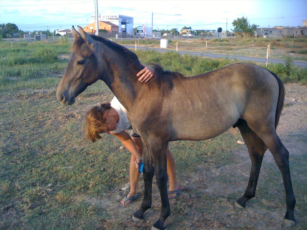 Cruzado Twister billede 14