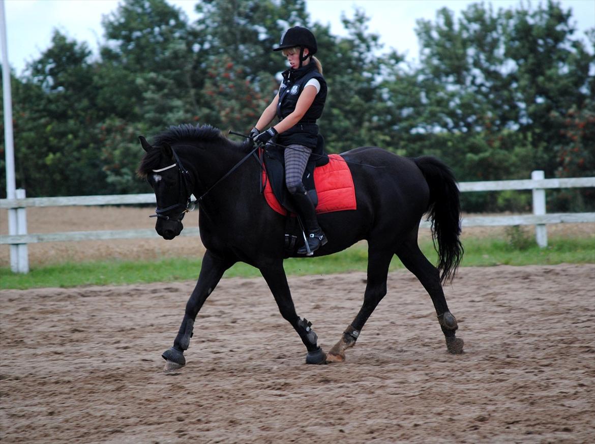Anden særlig race Diablo - Diablo og jeg til undervisning ved Kurt Christensen august 2011 [Foto: Sofie med mit kamera] billede 16