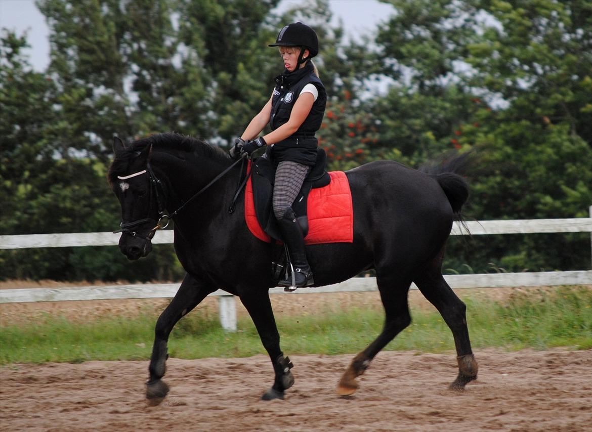 Anden særlig race Diablo - Diablo og jeg til undervisning ved Kurt Christensen august 2011 [Foto: Sofie med mit kamera] billede 15