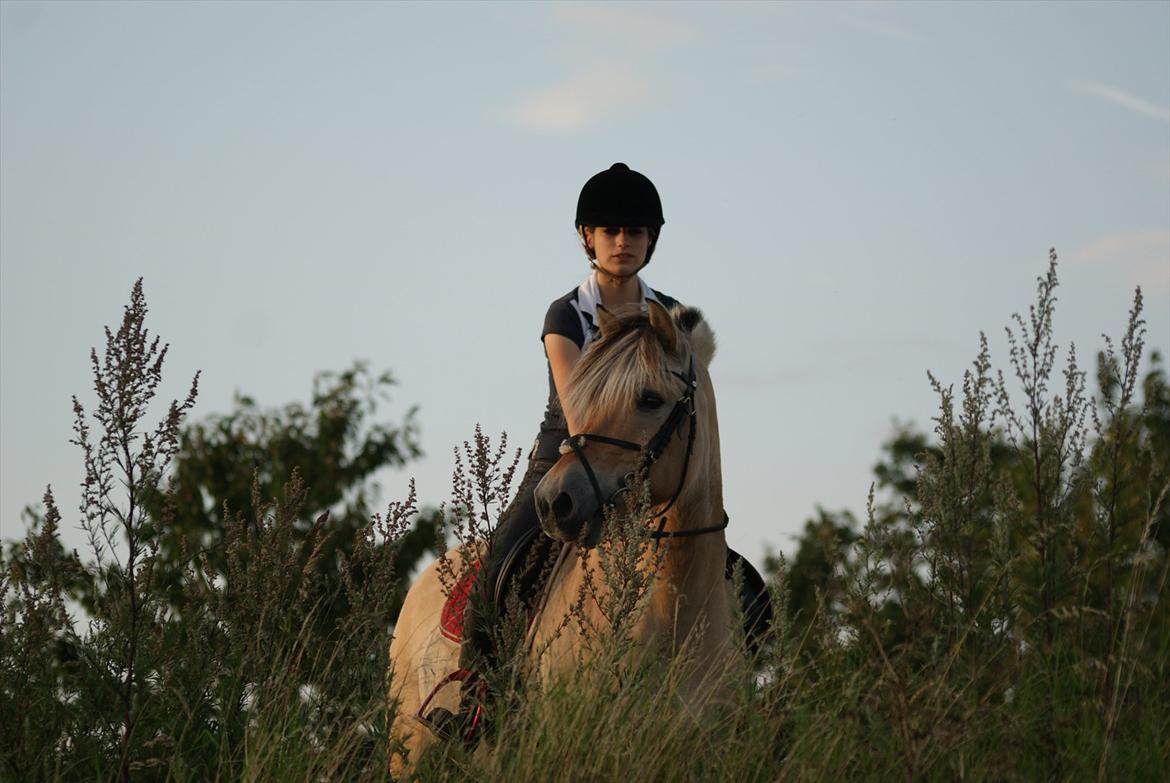 Anden særlig race Cognac billede 19