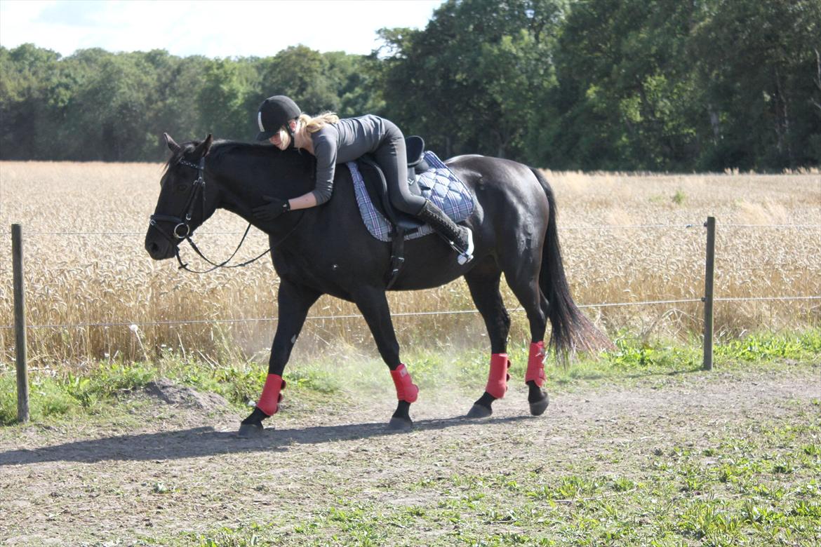 Oldenborg Bianca af Tanderup (Gippe'sen) - Cille, Bianca og Mig der laver en lille billede dag. Foto: Cille Thuesen - 9 August 2011 billede 10