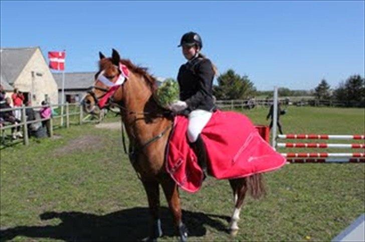 Anden særlig race Mix <3  - Vandt derby i Ørnhøj 2011 :) <3 MIX<33 billede 2
