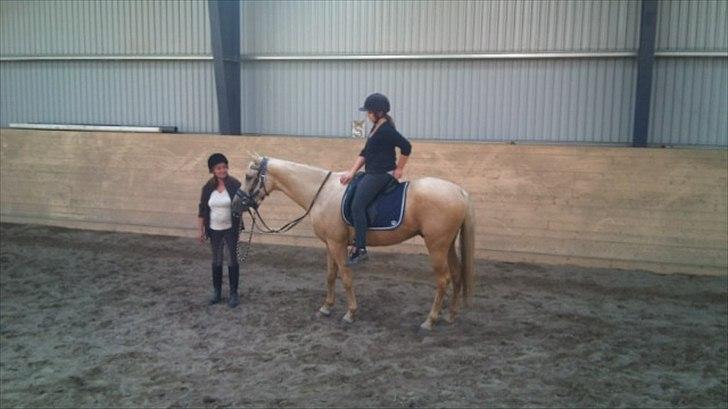 Palomino Golden Fashion - første gang med rytter på
 billede 15