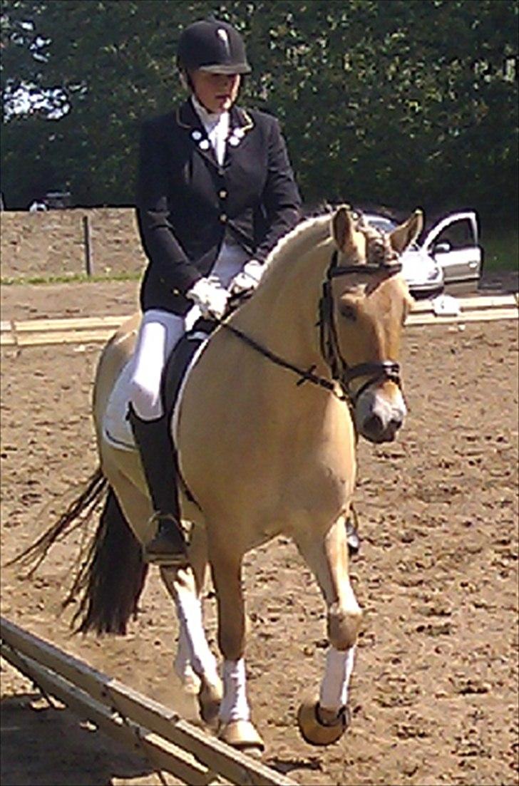 Fjordhest Solhøjgården´s Frej <3 - Højris pinse stævne (2011)
Lc2 :) billede 12