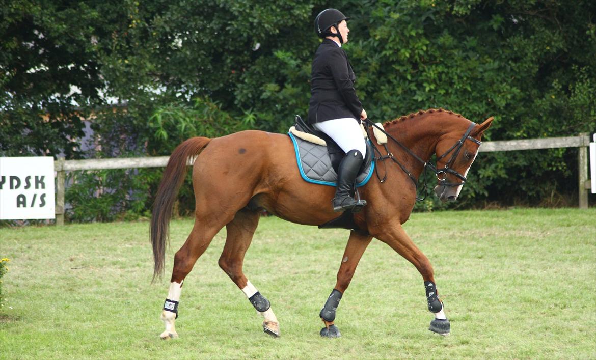 Anden særlig race Glenfoyle billede 11