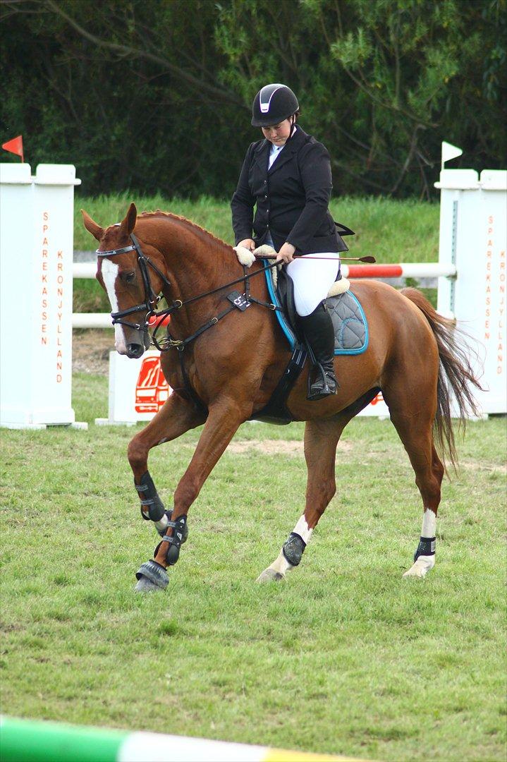 Anden særlig race Glenfoyle billede 12