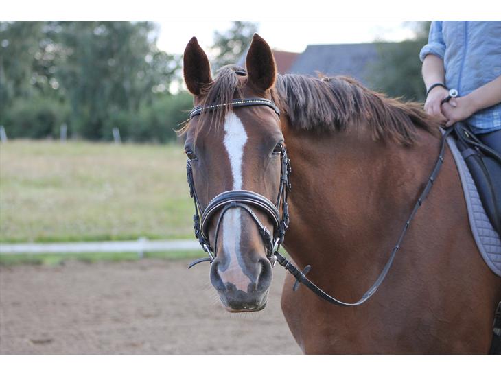 {{currentPhoto.altText}} billede {{currentPhoto.number}}