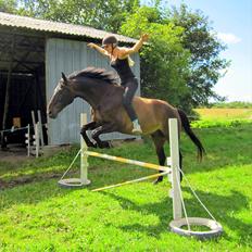 Anden særlig race Conrad <3