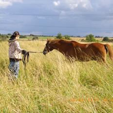 Anden særlig race sunny