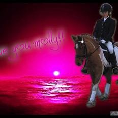 Anden særlig race Rørengs Molly<3(Solgt)