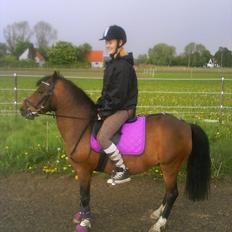 DSP Tværhøjgårds Athene