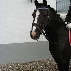 Anden særlig race Sjonnie Skywalker <3! R.I.P Min skat<3!