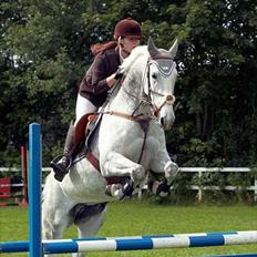 Anden særlig race Sevenhills Tyrone Tigers