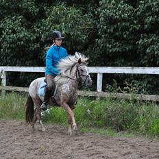 Anden særlig race Freya  >>Solgt! <<