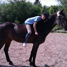 Anden særlig race "Freddie" Den Elskede<3 (Part) R.I.P