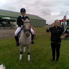 Knabstrupper Candy<3 Aka. Pony! tidl. hest