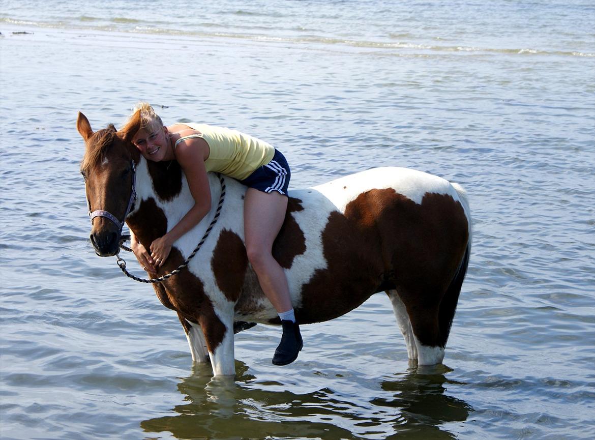 Anden særlig race Indi - rideferie 2011 billede 18