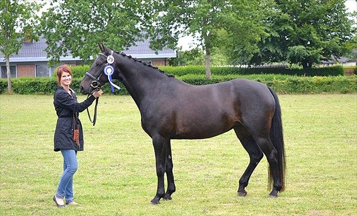 Oldenborg Bianca af Tanderup (Gippe'sen) - Bianca til kårring :p billede 12